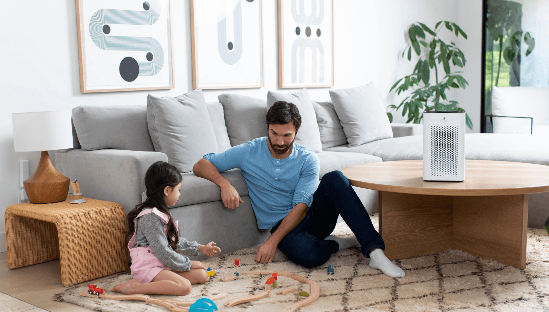 Medify Air air purifier storefront